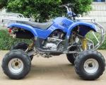 Front Double A - Arm Utility Vehicles ATV 250cc With 8" Rim Manual Clutch 4 -