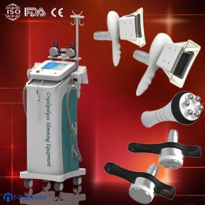 China CE proved Cryolipolysis Slimming Machine for salon wholesale