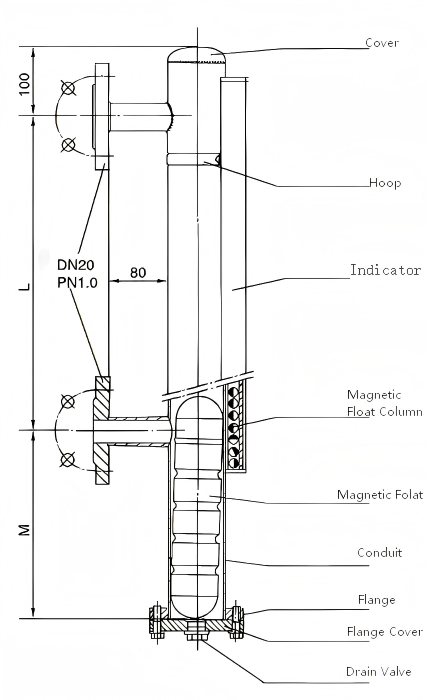 Side-mounted magnetic level gauge with remote transmission