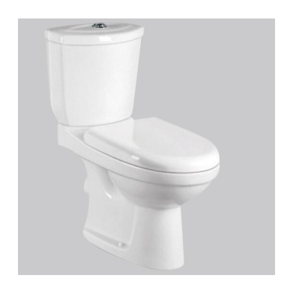 Slowly Toilet Seat Cover and Dual-Flush Water Closet for Modern White Color Bathroom
