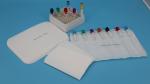 White 95kPa Plastic Hot Cold Pack Insulated Shipping Boxes Disposable Ice Packs