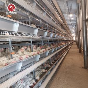 China 65*62.5*50 Cm Size Battery Cage Chicken Farming For Rearing House wholesale