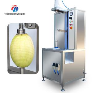 China 1.0KW 120KG Peeler jackfruit papaya pumpkin wax gourd peeler all kinds of fruit peeling machine wholesale