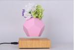 360 rotating wooden base magnetic levitaiton air bonsai plant tree