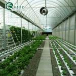 PO The Ultimate Solution for Vertical Farming in Multi-Span Agricultural