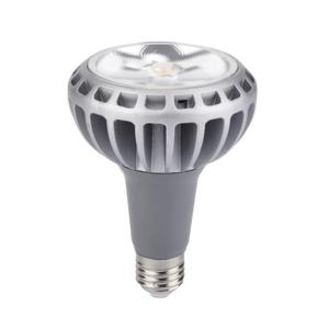 China 2016 hot selling product 28W LED PAR30 LED spot lighting wholesale