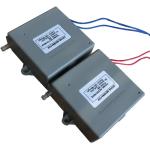 50-100 mg/hr Ozone Output Ozone Generator for Water Purification in Washing