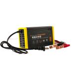 High Quality 24V/36V/48V/60V/72V lead acid battery charger electric bicycle