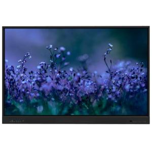 China 65 inch Iboard Interactive whiteboard Smart Touch screen for Office School wholesale