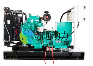 China 250KW/313KVA CUMMINS Diesel Generator Set Standby Power Frequency 50/60Hz Closed Water Cooling System wholesale