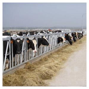 China 1.2m/Cow Cow Head Lock wholesale