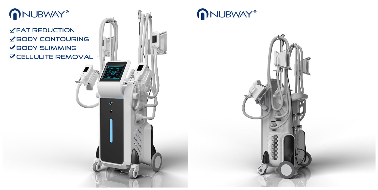 latest simultaneous working 4 habdles cryolipolysis body slimming machine