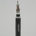2- 288 Core Moisture Resistant Steel Tape Armoured GYTA53 Fiber Optic Cable For