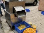 Industrial Stainless Steel 304 Juice Extractor for Fresh Citrus Lemon Orange