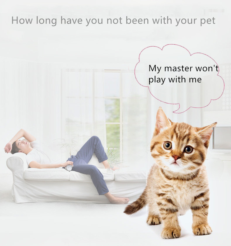 Laser Cat Toy Interactive Battery Operated Laser Pointer Toy Small Animals