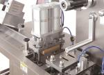 Tablets Blister Packaging Machine 120mm Stroke Strip Packing Machine