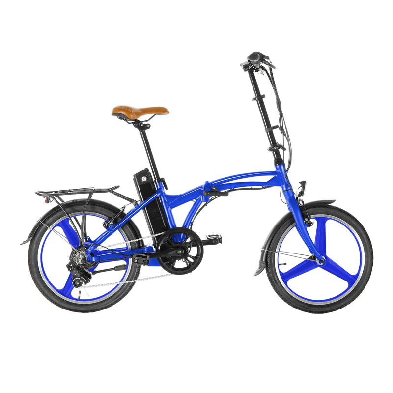 2024 36V 350W 20Inch Blue Electric Bike with Aluminum Alloy Frame and Rear Hub Motor