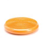 Yoga Sport Stability Balance Board Disc Gym Exercise Ankle Knee Air Cushion Pad