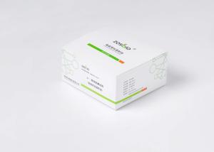 China Laboratory Cardiology D-Dimer Detection Reagent 5min wholesale