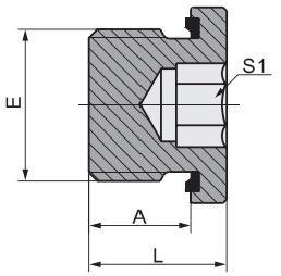 Hydraulic Tube Fitting BSPT/Jic/Metric Male Captive Seal Hollow Hex Plug 4bn-Wd