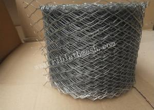 China 480/M2 Weight 20cm Width 18m Length Brick Wall Mesh wholesale