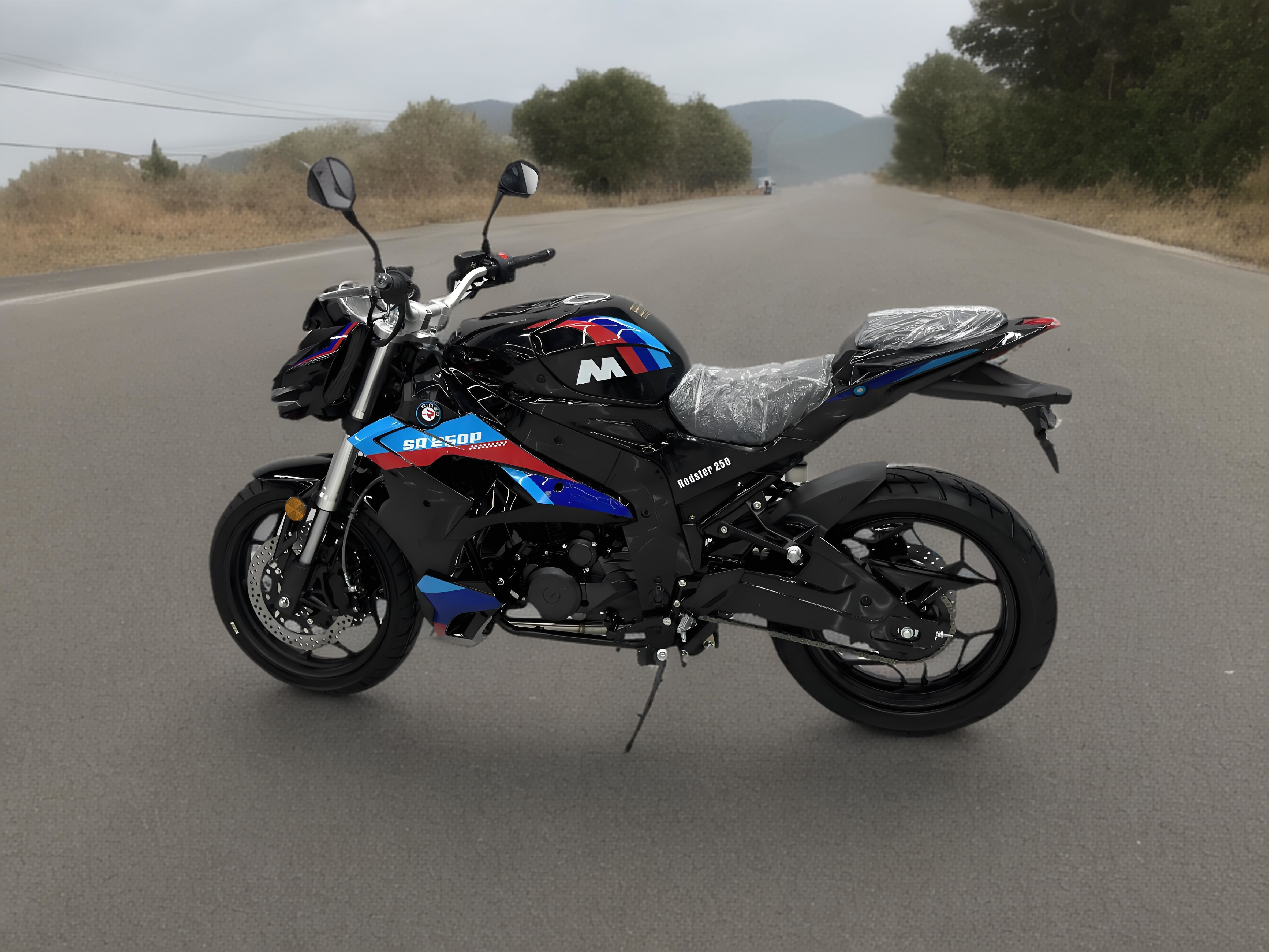 Street Motorcycles For Adults 250cc Enduro Motorcycles Customed Color 4-Stroke Engine