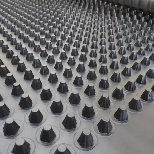 Modern Engineering Construction Waterproofing Water Storage Drainage Board for