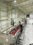 Stainless Steel 316 Apple Juice Processing Line 220V / 380V
