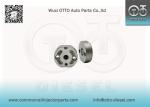 Denso Control Valve For Injector 095000-555# 095000-831# 33800-4570#