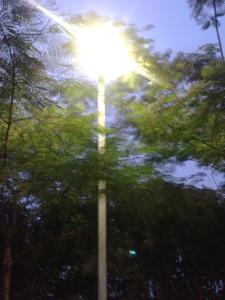 China Solar LED street lamp wholesale