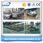 Electricity Energy Large Capacity Pet Food Making Equipment for Dog Fish Cat in