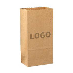 China Flower Store Bulk Paper Sacks Brown Kraft Paper Bags With Ribbon Handle wholesale