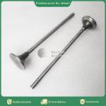 Factory supply QSX15 Diesel Engine Intake Exhaust Valve 4101454