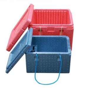 China Hanwell Shock Absorbent Insulated EPP Foam Box Lightweight wholesale