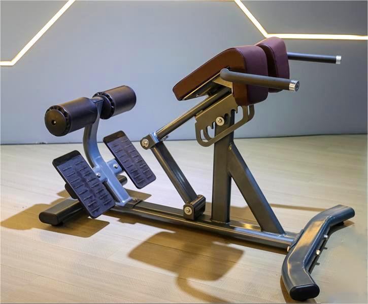 Fitness Equipment Back Exercise Adjustable Back Extension Roman Chair