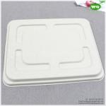 5 Compartments Unbleached Bagasse Tray-China Factory Offer Eco-friendly Fast