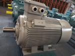 20HP Low Voltage Induction Motor 1800RPM 256T 3Ph Electric Motor