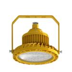 120 Volt Led Marine Flood Lights Dimmable LED Flood Light 10W-100W IP65/66/67