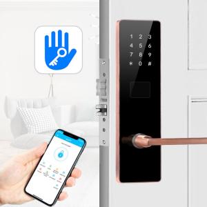 China OEM Apartment Smart Door Lock Mortise Digital Main Door Lock wholesale