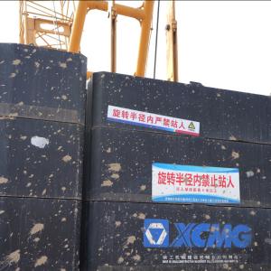 China Innovative Technology 220T Crawler Crane Used For Construction wholesale