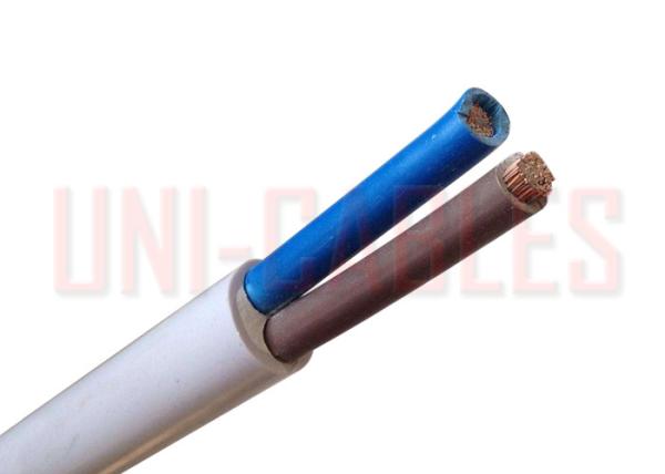 450 / 750V RVV PVC Electrical Cable Class 2 Copper Conductor Insulated Sheathed