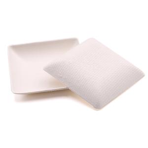China Disposable biodegradable mini sugarcane squared shaped bagasse paper snack appetizer plate wholesale