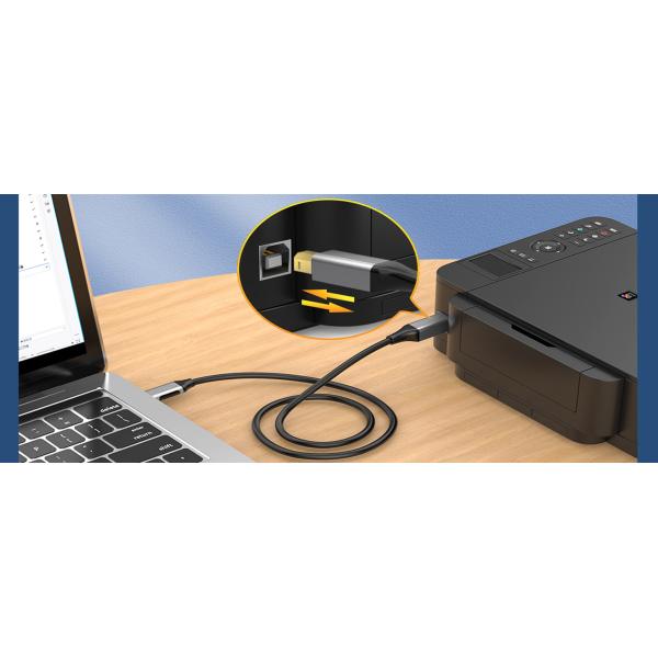 USB2.0 TYPE-A To USB Type B Cable For USB Printers Scanners External USB Hard Drives Bulk Wholesale