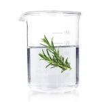 Soothing Rosemary Floral Water 84604-14-8 Rosmarinus Officinalis Leaf Water