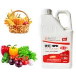 NPK 19 19 100% Water Soluble NPK Organic Fertilizer Agricultural Liquid