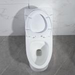 28" 1.28 Gpf Dual Flush One Piece Toilet 10 Inch Rough In American Standard
