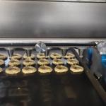 Professional Chocolate Chip Cookies Making Machine for different shapes