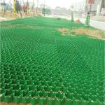 38mm 48mm 68mm HDPE Plastic Grass Paver Grid for Long-lasting Parking and