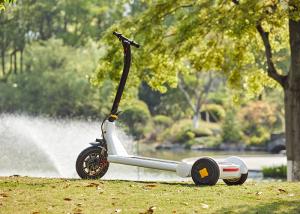 China Brushless Motor L1600mm Portable Folding Scooter wholesale