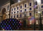 LED Net Light, LED Wedding Light, LED Holiday Light, LED Christmas Light, LED